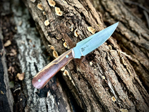 Hunter - Live Oak